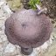 Pítko pro ptáky, krmítko v.40cm