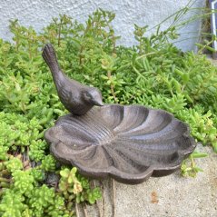 Pítko pro ptáky, krmítko s ptáčkem